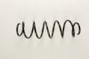 FIAT 50700523 Coil Spring